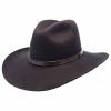 Biltmore Huntley Wool Fedora Hat